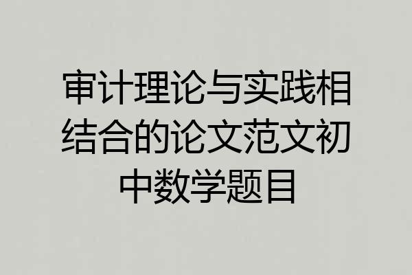 审计理论与实践相结合的论文范文初中数学题目