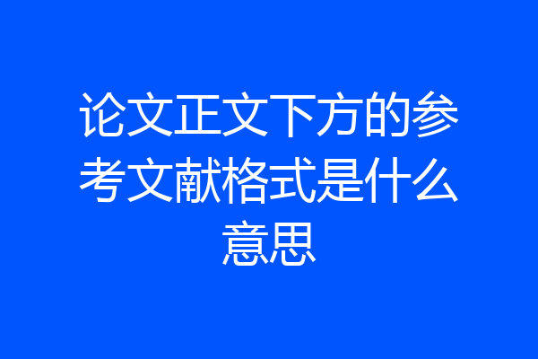 论文正文下方的参考文献格式是什么意思