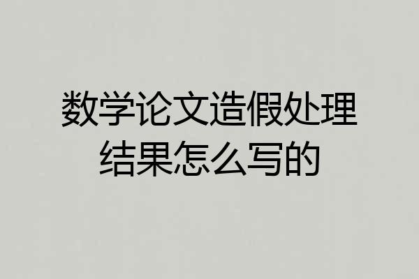 数学论文造假处理结果怎么写的
