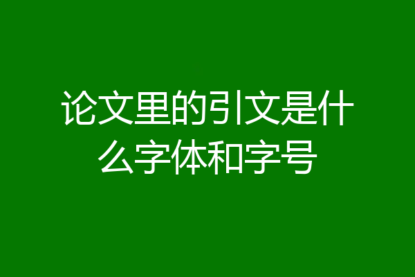 论文里的引文是什么字体和字号