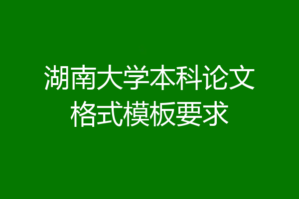 湖南大学本科论文格式模板要求
