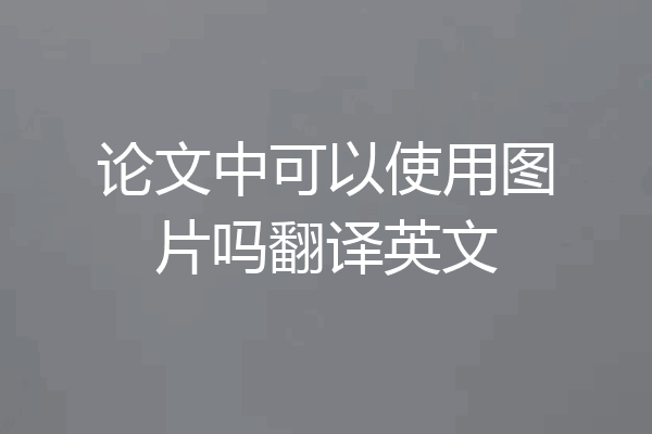 论文中可以使用图片吗翻译英文