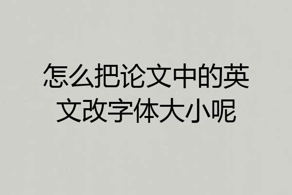 怎么把论文中的英文改字体大小呢