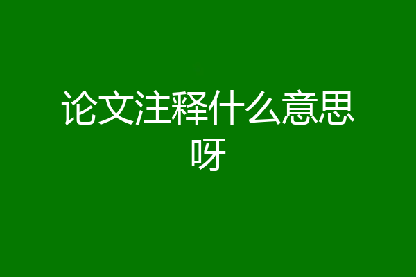 论文注释什么意思呀