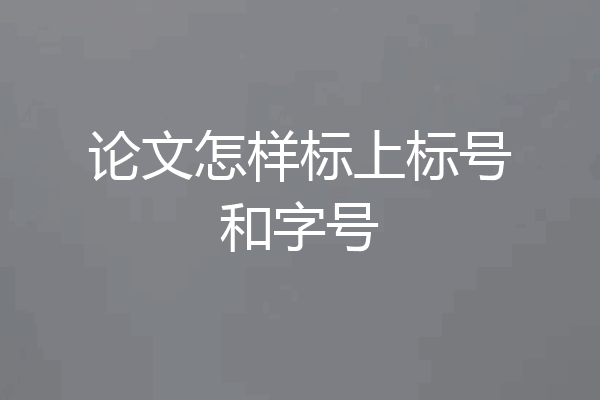 论文怎样标上标号和字号