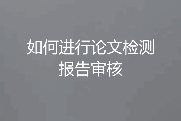如何进行论文检测报告审核