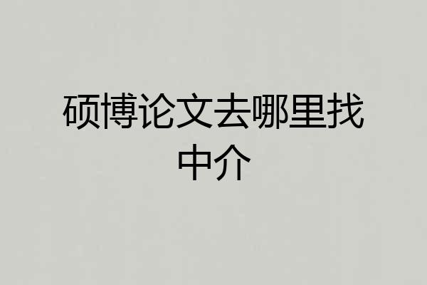 硕博论文去哪里找中介
