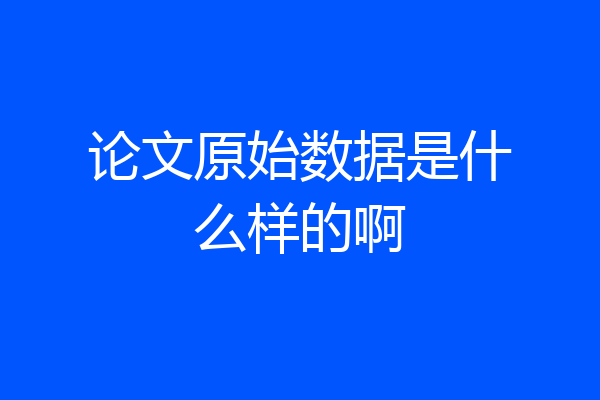 论文原始数据是什么样的啊