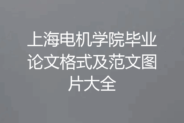 上海电机学院毕业论文格式及范文图片大全