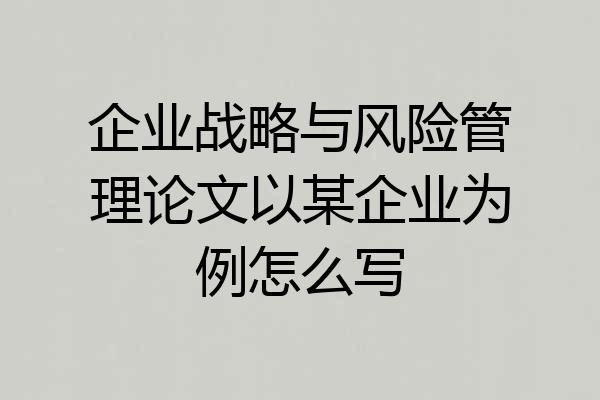 企业战略与风险管理论文以某企业为例怎么写