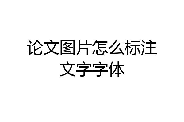 论文图片怎么标注文字字体