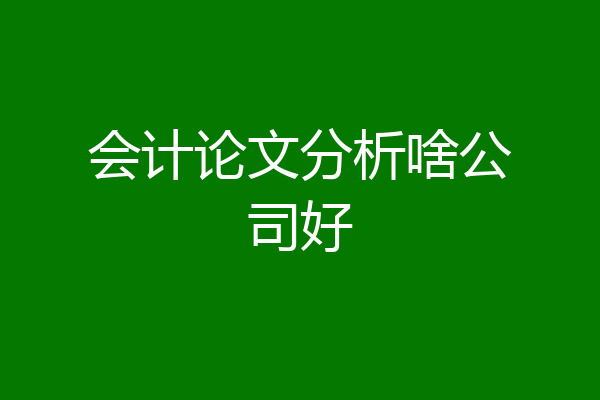 会计论文分析啥公司好