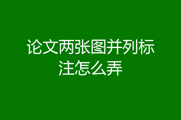 论文两张图并列标注怎么弄