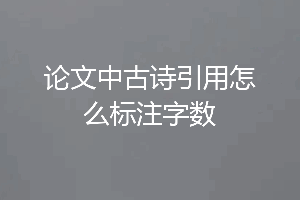 论文中古诗引用怎么标注字数