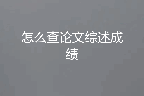 怎么查论文综述成绩