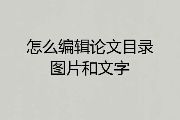 怎么编辑论文目录图片和文字