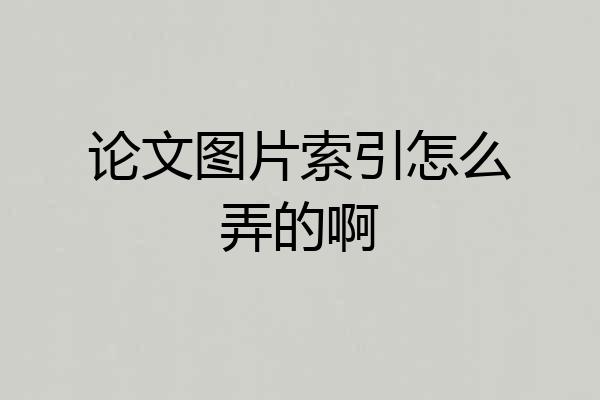 论文图片索引怎么弄的啊