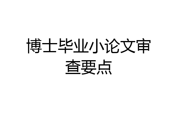 博士毕业小论文审查要点