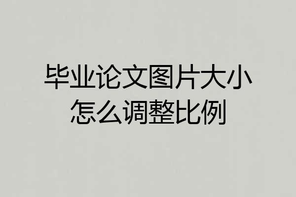 毕业论文图片大小怎么调整比例