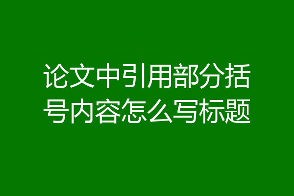 论文中引用部分括号内容怎么写标题