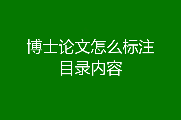 博士论文怎么标注目录内容