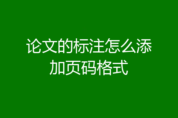 论文的标注怎么添加页码格式