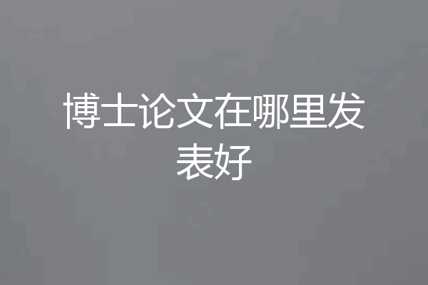 博士论文在哪里发表好