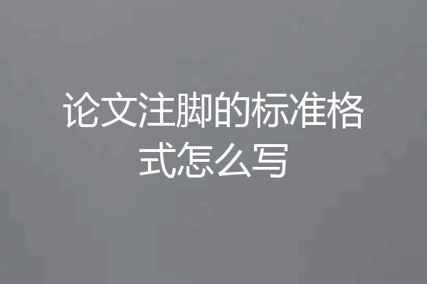 论文注脚的标准格式怎么写