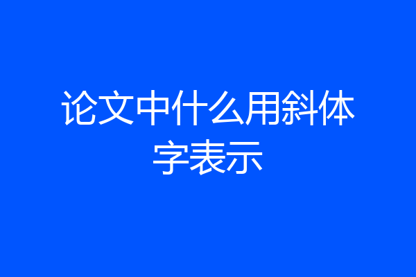论文中什么用斜体字表示