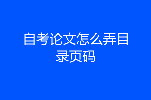 自考论文怎么弄目录页码