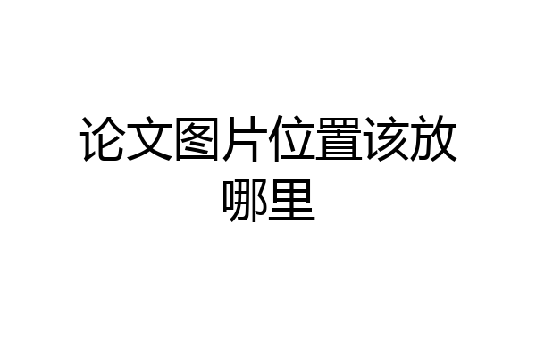 论文图片位置该放哪里