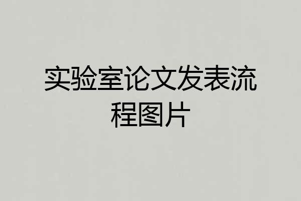 实验室论文发表流程图片