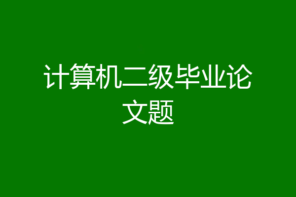 计算机二级毕业论文题