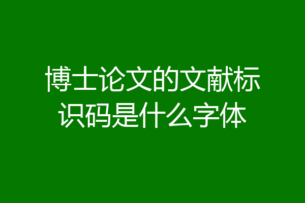 博士论文的文献标识码是什么字体