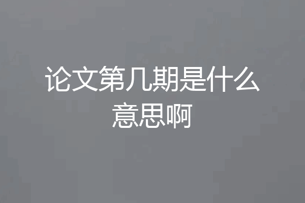 论文第几期是什么意思啊
