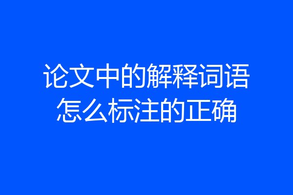 论文中的解释词语怎么标注的正确