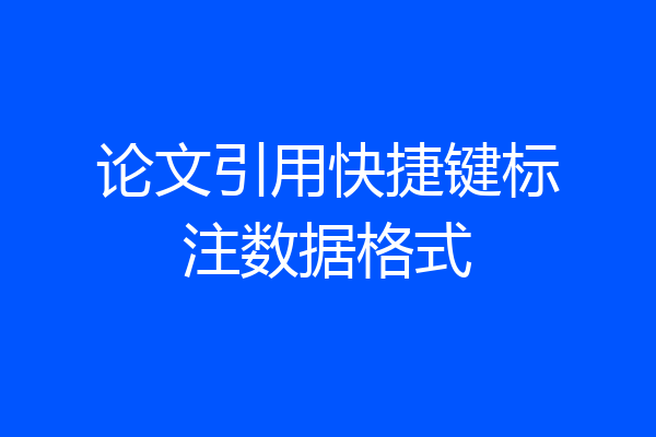 论文引用快捷键标注数据格式