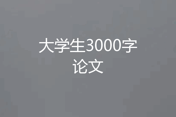 大学生3000字论文