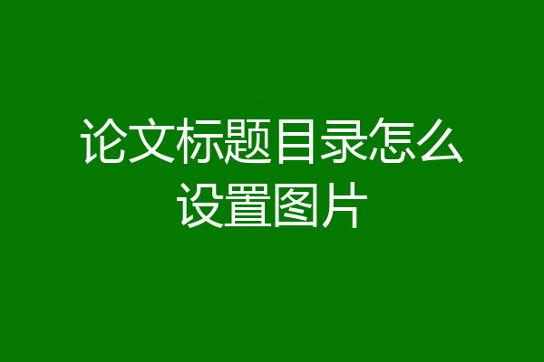 论文标题目录怎么设置图片
