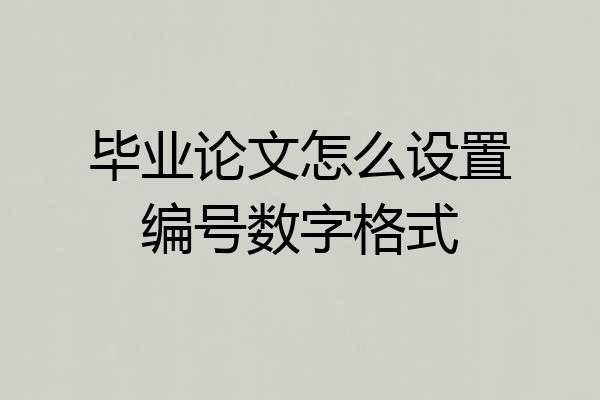 毕业论文怎么设置编号数字格式