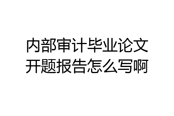 内部审计毕业论文开题报告怎么写啊