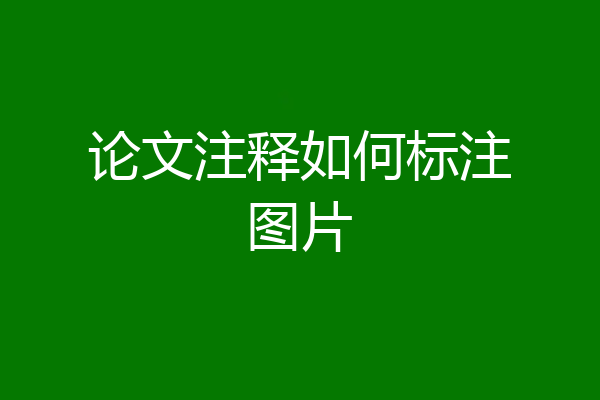 论文注释如何标注图片
