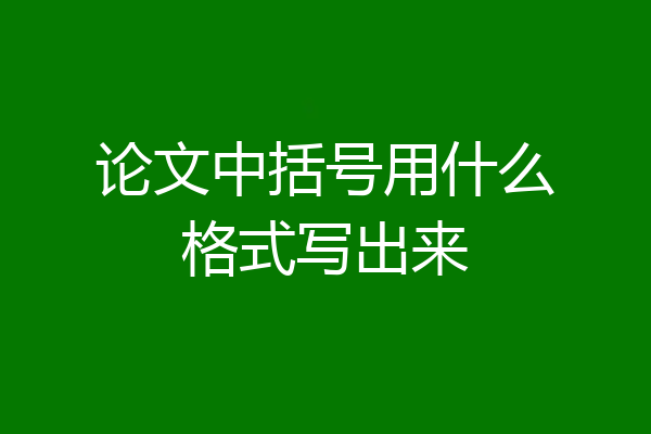 论文中括号用什么格式写出来