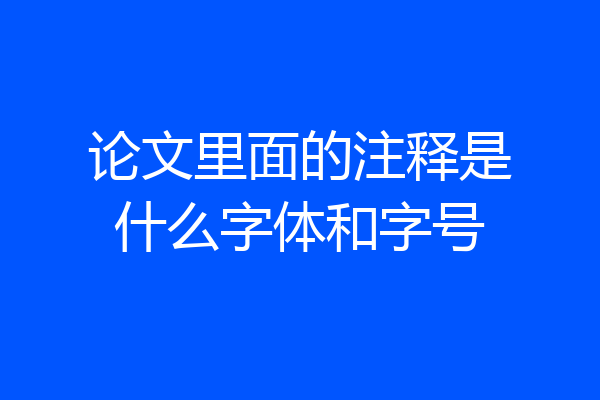 论文里面的注释是什么字体和字号