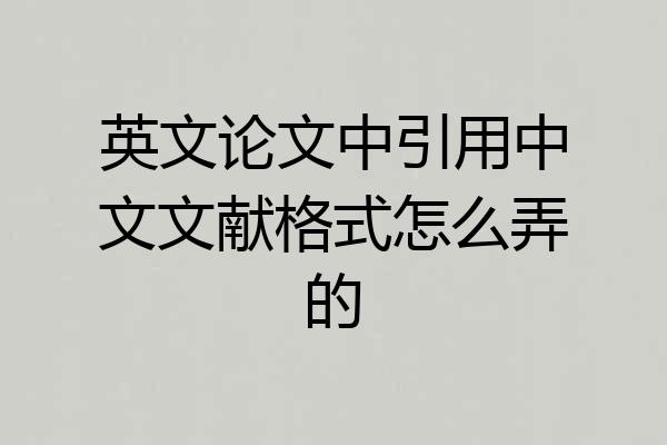 英文论文中引用中文文献格式怎么弄的