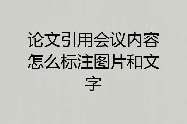 论文引用会议内容怎么标注图片和文字