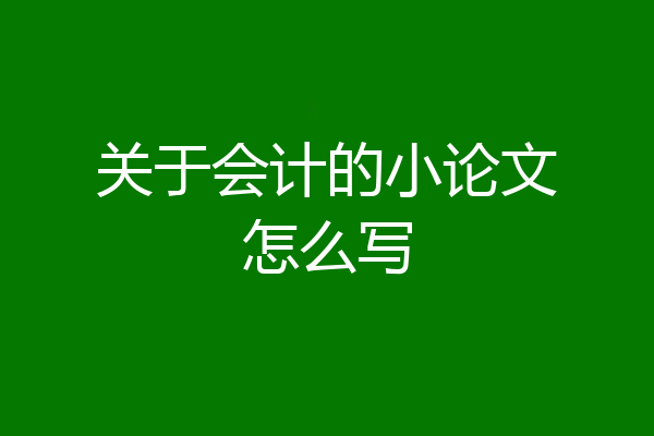 关于会计的小论文怎么写