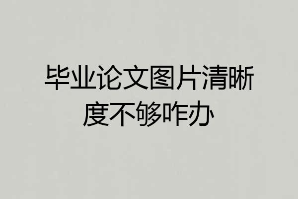 毕业论文图片清晰度不够咋办