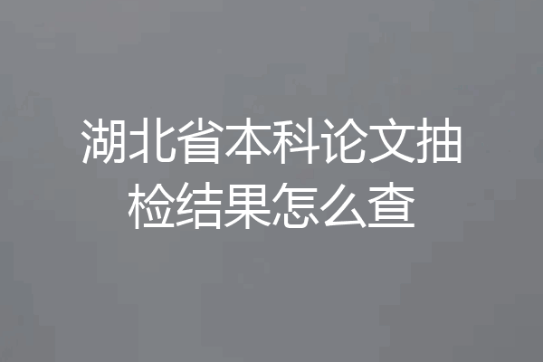 湖北省本科论文抽检结果怎么查