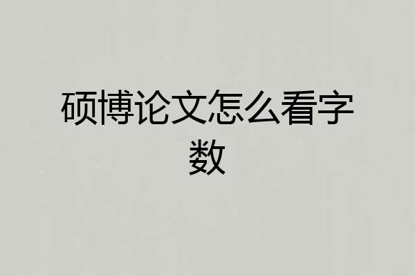 硕博论文怎么看字数